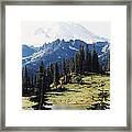 At Mt. Rainiers Feet Framed Print