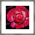 At The Touch Of Love Framed Print