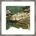 At The Waters Edge Framed Print