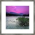 Athabasca River Bush At Sunset Framed Print