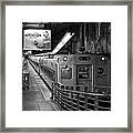 Attention Framed Print