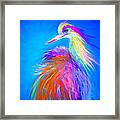 Attitude Framed Print