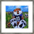 Aubie With The Cows Framed Print