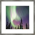 Aurora Borealis And Snow Covered Trees Framed Print