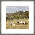 Australian Landscape Framed Print