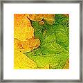 Autum Leaves Framed Print