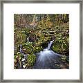 Autumn At The Springs Framed Print