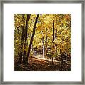 Autumn At Three Creeks Framed Print