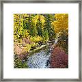 Autumn Color Along Spearfish Creek Framed Print