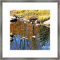 Autumn Colors And Reflections Framed Print