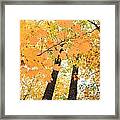Autumn Days Framed Print