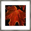 Autumn Fire Framed Print