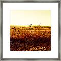 Autumn Glow Framed Print