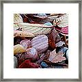 Autumn Greatness Framed Print