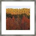 Autumn In Arcadia Framed Print