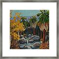 Indian Canyon After The Rain Framed Print