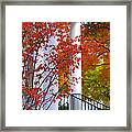 Autumn In Long Grove 2 Framed Print
