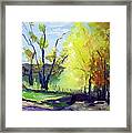 Autumn In Ny Framed Print