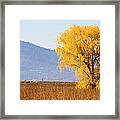 Autumn In Oregon, Usa Framed Print