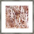 Autumn In The Country Framed Print