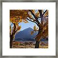 Autumn In The Mountains Framed Print