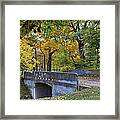 Autumn In The Park Framed Print