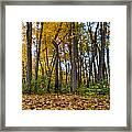 Autumn Is Here Framed Print