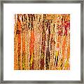 Autumn Framed Print