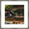 Autumn Leaf Trails Framed Print