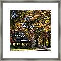 Autumn Leaves In Prospect Park Framed Print