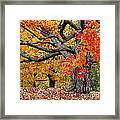 Autumn Memories Framed Print