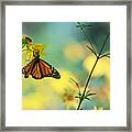 Autumn Monarch Framed Print