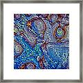 Autumn Colors Sing The Blues Framed Print