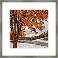 Autumn Or Winter Framed Print