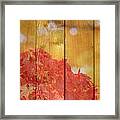 Autumn Outdoors 1 Of 2 Framed Print