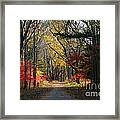 Autumn Paths    No.2 Framed Print