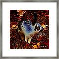Autumn Rabbit 5010 - James Ahn Framed Print
