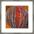 Autumn Reds Framed Print