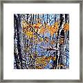 Autumn Reflection With Leaf Framed Print