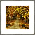 Autumn Road Framed Print