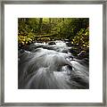 Autumn Rush Framed Print