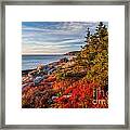 Autumn Shore In Acadia Framed Print