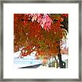 Autumn Sidewalk Framed Print