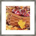 Autumn Still Life Framed Print