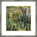 Autumn Swamp Framed Print