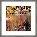 Autumn Swan Framed Print