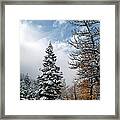 Autumn Winter Colors 2 Framed Print