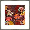 Autumn Wonder Framed Print