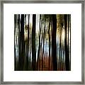 Autumn Woods Framed Print