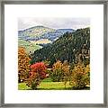 Autumnal Colours In Austria Framed Print
